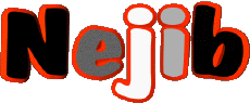 First Names MASCULINE - Maghreb Muslim N Nejib 