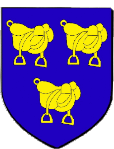 Banderas Francia Departamentos - Ciudades 41 SELLES SUR CHER 