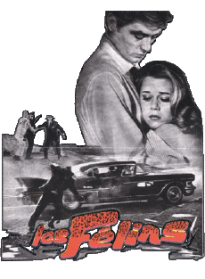 Multimedia Filme Frankreich Alain Delon Les Félins 