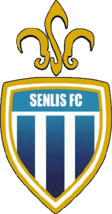 Sports Soccer Club France Hauts-de-France 60 - Oise Senlis Futsal Club 