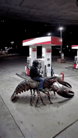 Humor -  Fun Transport Lustige Maschinen Serie 01 