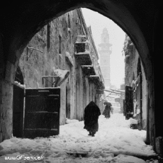 Humour - Fun 3D Effets Stéreoscopique Wiggle 