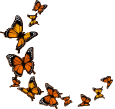 Messagi Francese Bon Anniversaire Papillons 009 