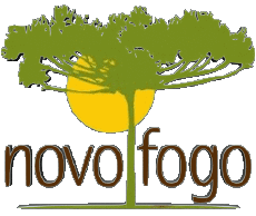 Bebidas Cachaca Novo Fogo 