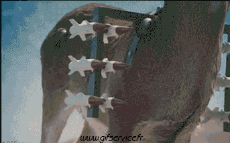 Umorismo -  Fun Animali Cervo - Fawn 01 