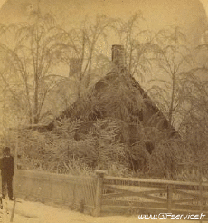 Humour - Fun 3D Effets Stéreoscopique Wiggle 