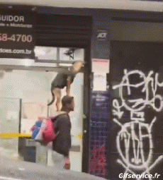 Humour - Fun Animaux Chiens Serie 04 