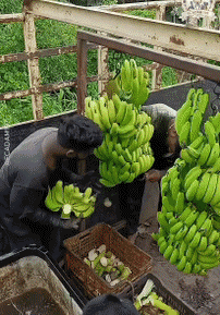 Umorismo -  Fun PERSONE Al lavoro Fun - Win 