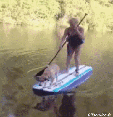 Humor - Fun Deportes Paddle Caídas - Fail 