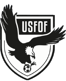 Sportivo Calcio  Club Francia Centre-Val de Loire 41 - Loir et Cher Us Fougères Ouchamps Feings 