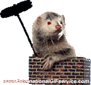 Humour - Fun Animaux Furets 01 