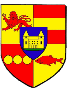 Drapeaux France Départements - Villes 36 VILLEDIEU SUR INDRE 