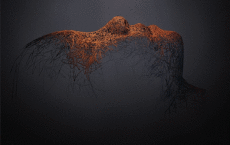 Humor -  Fun GIF Künstler George RedHawk - Couleur 