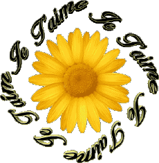 Messages French Je T'aime 03 