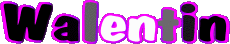Vorname MANN - Frankreich W Walentin 