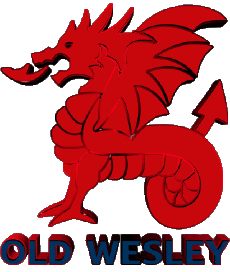 Sportivo Rugby - Club Mondo - Logo Irlanda Old Wesley 
