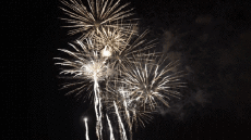 Nachrichten Spanisch Feliz Año Nuevo 2026 Video 