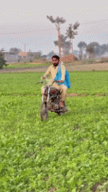 Humor -  Fun PEOPLE At work Fun - Win 