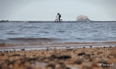 Humor -  Fun Sport Mountainbiking Fun - Win 