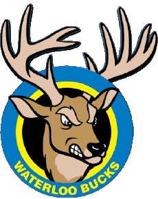 Sportivo Baseball U.S.A - Northwoods League Waterloo Bucks 