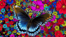 Messages Espagnol Feliz Cumpleaños Mariposas Fond Animé 002 