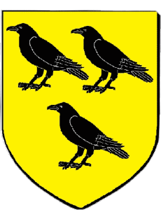 Fahnen Frankreich Abteilungen - Städte 67 HOENHEIM 