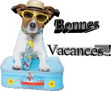 Mensajes Francés Bonnes Vacances Fondo transparente 29 