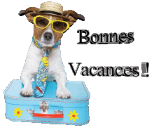 Messages French Bonnes Vacances Transparent Background 29 