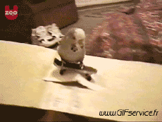 Humor - Fun Animales Pájaros Loro Peruche 