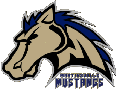 Deportes Béisbol U.S.A - CPL - Coastal Plain League Martinsville Mustangs 