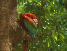 Multi Média Chaines -  TV France Voyage Jingle Pub 