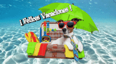 Mensajes Español Felices Vacaciones Fondo animado 002 