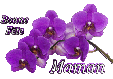 Nachrichten Französisch Bonne Fête Maman 05 