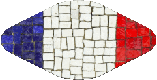 Banderas Francia Nacional Oval 