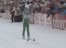 Humor -  Fun Sport Ski Langlaufen 