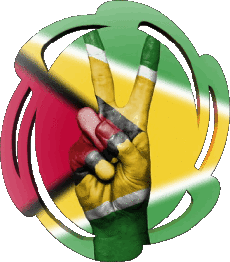 Flags America Guyana Form 01 