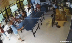 Humour - Fun Sports Ping Pong Serie 01 