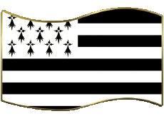 Drapeaux France Régions Bretagne Rectangle 