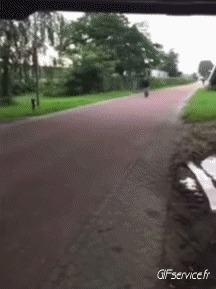 Humor -  Fun Transport Scooter Fun Accident - Fail 