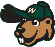 Sportivo Baseball U.S.A - Northwoods League Wisconsin Woodchucks 