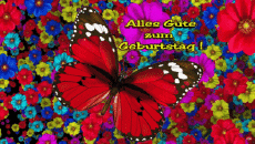 Nachrichten Deutsche Alles Gute zum Geburtstag Schmetterlinge Animierter Hintergrund 002 