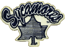 Deportes N C A A - D1 (National Collegiate Athletic Association) I Indiana State Sycamores 