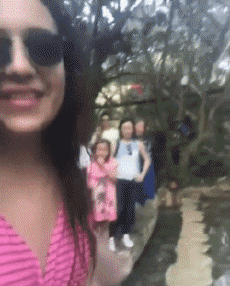 Humour - Fun Animaux Oiseaux Pélicans 