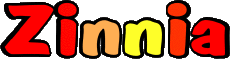 Prénoms FEMININ - UK - USA Z Zinnia 