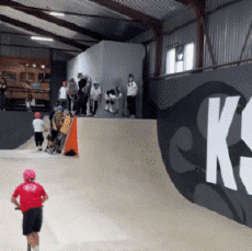 Humor -  Fun Transport Roller Fun Win 