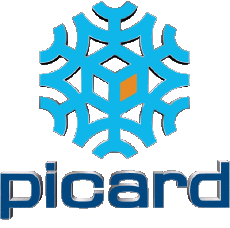 Cibo Congelato Picard 