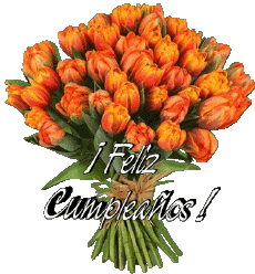 Mensajes Español Feliz Cumpleaños Floral Fondo transparente 012 