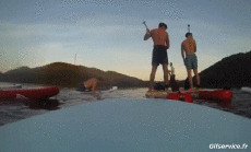 Humor -  Fun Sports Paddle Falls - Fail 