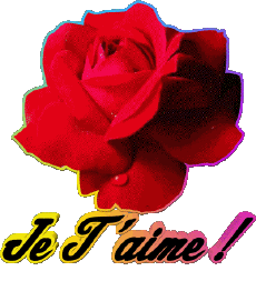 Messagi Francese Je T'aime 01 