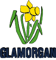 Sport Kricket Vereinigtes Königreich Glamorgan County 